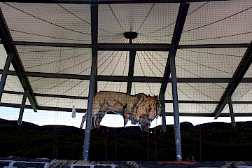 FC Lausanne-Sport – FC Zürich