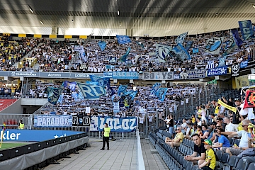 BSC Young Boys – FC Zürich