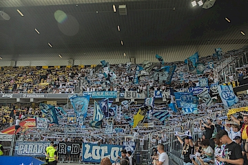 BSC Young Boys – FC Zürich