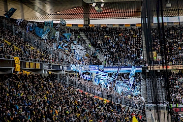 BSC Young Boys – FC Zürich