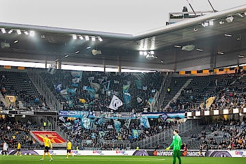 BSC Young Boys – FC Zürich