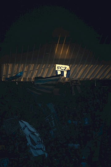 BSC Young Boys – FC Zürich